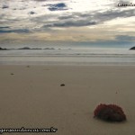 Prainha, Arraial do Cabo, RJ