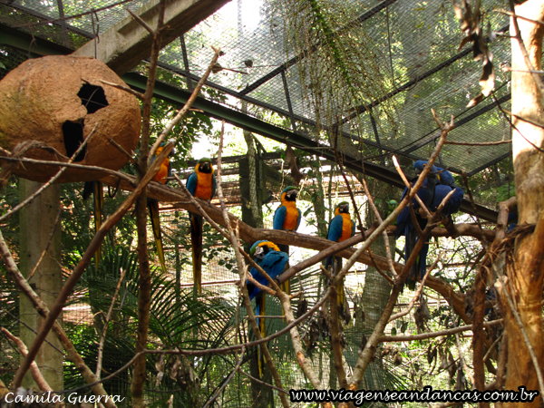 Viveiro das Araras, Parque das Aves