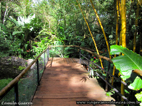 Caminho no Parque das Aves