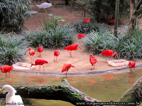 Parque das Aves, Foz do Iguaçu PR