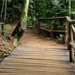 Parque Natural Municipal de Petrópolis