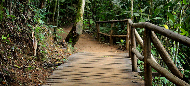 Parque Natural Municipal de Petrópolis