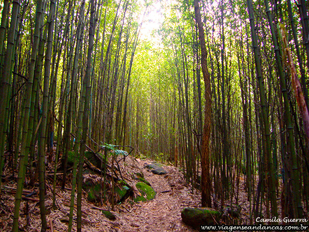 Caminho para o Poço Paraíso