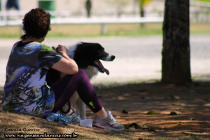 ... e cachorrões