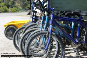 Várias bicicletas para aluguel