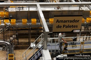 Fábrica organizada, limpa, bonita.