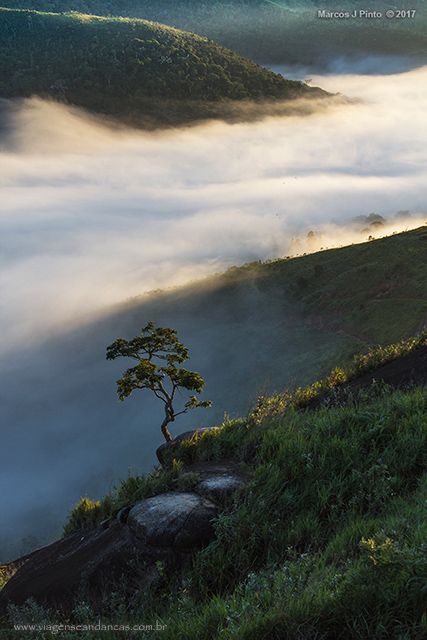 O bonsai da montanha encantou os olhos do Marcos. E os nossos também, não é?