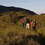 Caminhar na natureza alegra a alma e beneficia o corpo!